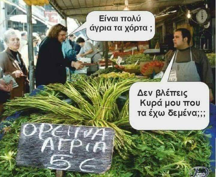 212a56a6 b49b 427b a4d5 08bd844ce9ba