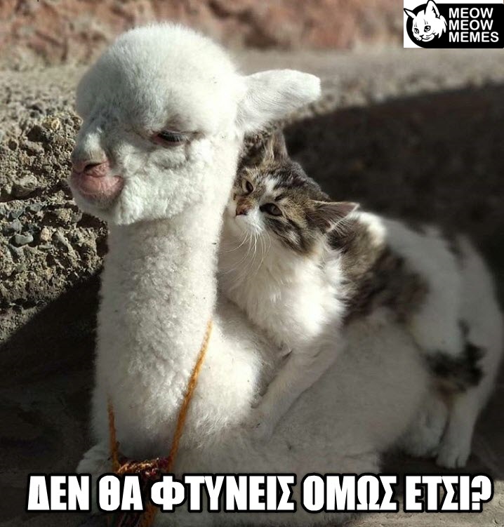 0a2198a4 70f2 48c6 90c4 02409ee7f13f
