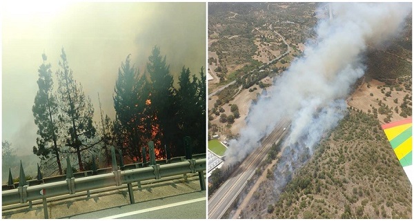 Μπαράζ πυρκαγιών στην Κύπρο – «Δεν μπορεί να ξέσπασαν τυχαία»