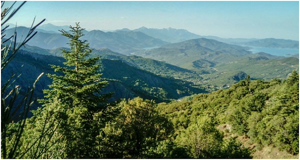 Ευρωπαϊκή Ημέρα Natura 2000: Μια γιορτή για την προστασία της φύσης