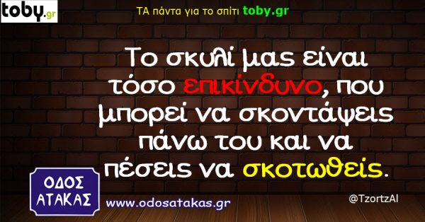 f8781dcd ae52 4136 9f7b f2aa6956201f