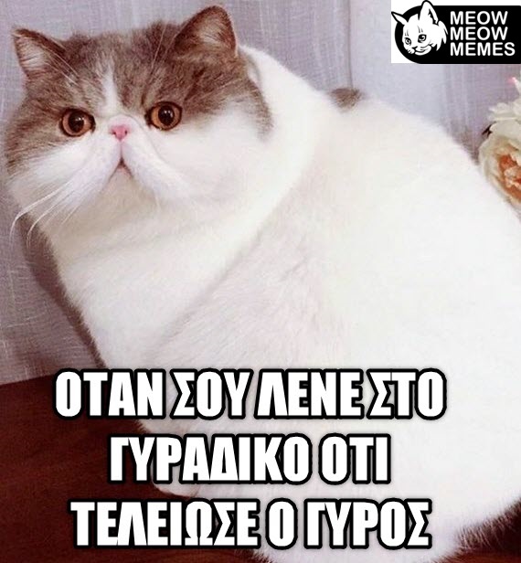 379fdbf8 c92d 4a3c a699 d9eac9069b09