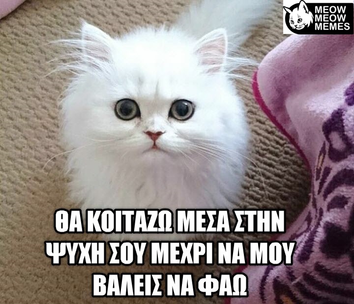 5f7b7a87 3088 466f a82b 4bc6a37d31d1