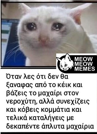 25ad65f0 99bf 43ff 92d0 ff7a6f0ade93