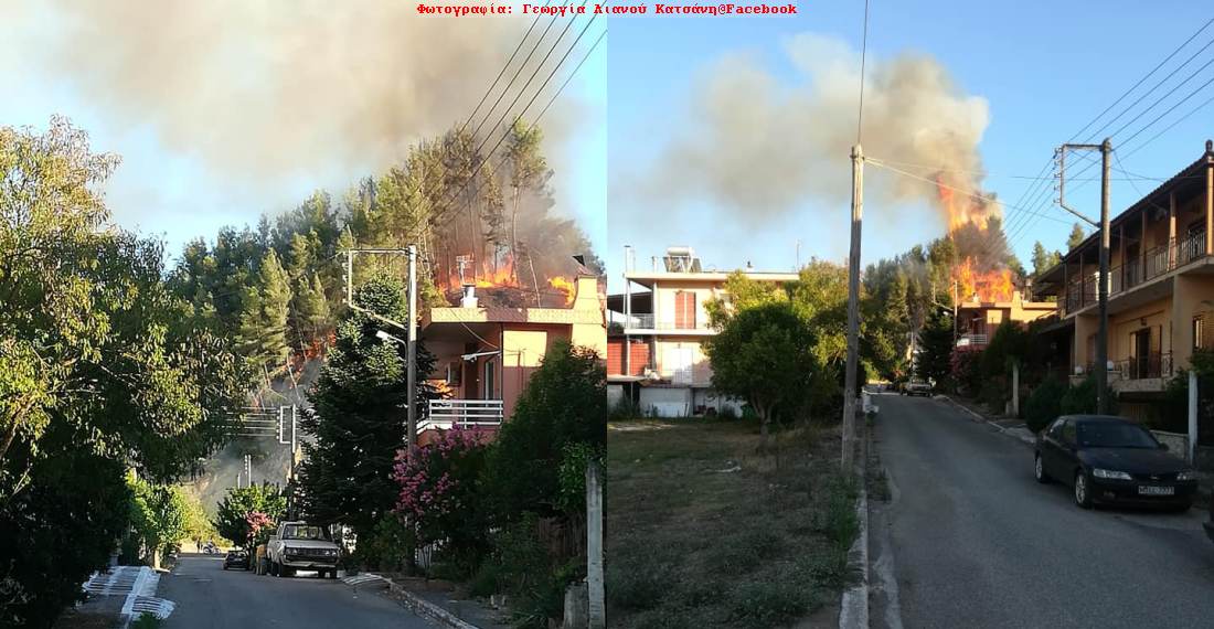 Ηλεία: Πέντε πύρινα μέτωπα σε δυο μέρες.