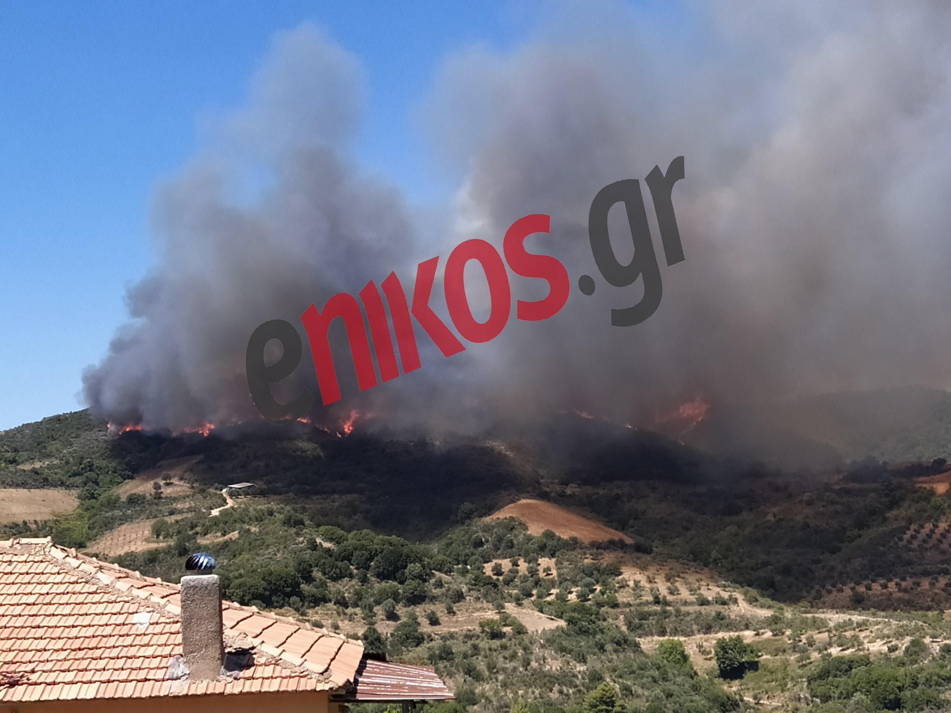 Φωτιά στην Ωλένη, στον Πύργο Ηλείας.