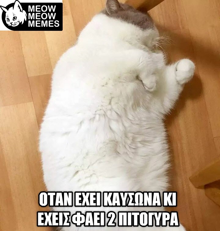 8f89d024 7684 4c13 b340 d99197089c95