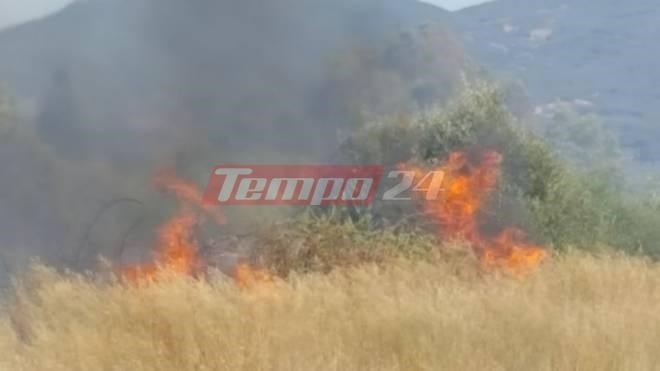 Εικόνες και βίντεο από τη φωτιά στη Ράχη στη Δυτική Αχαΐα.