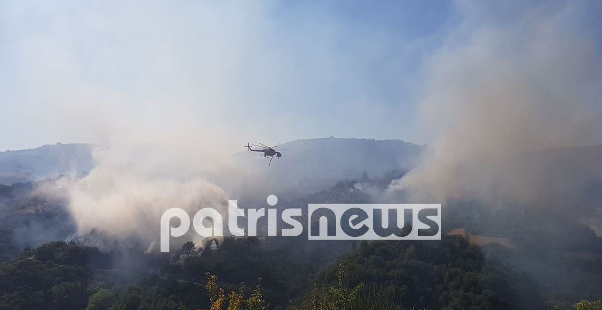 Ηλεία: Μάχη με τις πύρινες γλώσσες στο Κλινδιά. Φωτογραφίες και βίντεο.