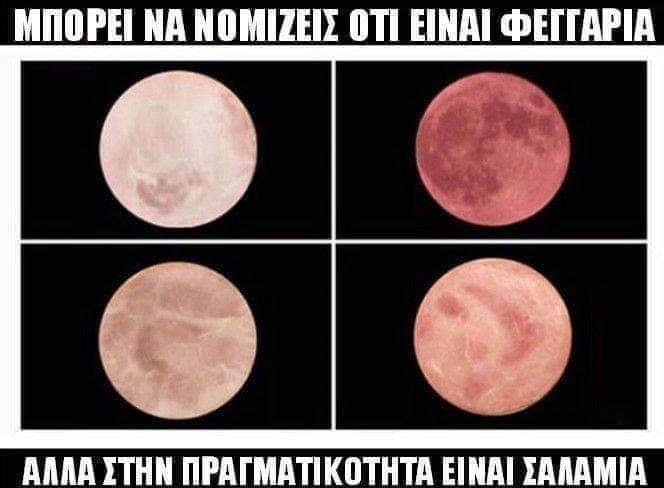 fb55a614 2529 4c2a b488 eefeb715e7ed