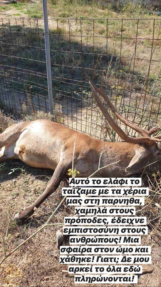 9BDEF350 C922 4504 AD42 D35CD41C2FE8