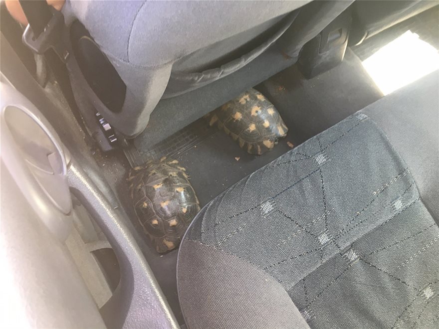 07167960 7732 4117 A645 0ED7102E9E35