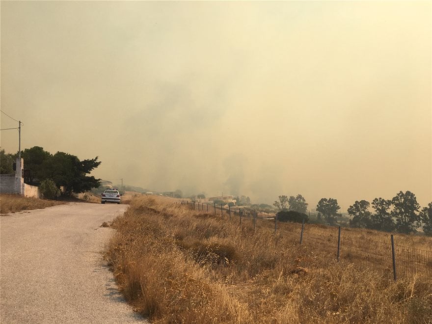 1A1B520C A6ED 4753 8782 523414547685