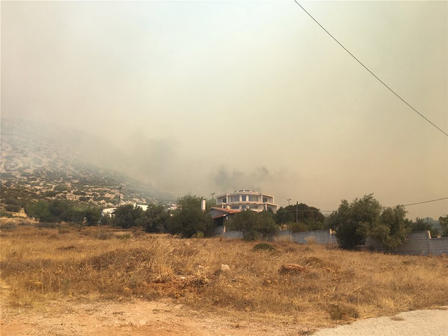 ED710101 0634 49BA BD55 75121C97D11D