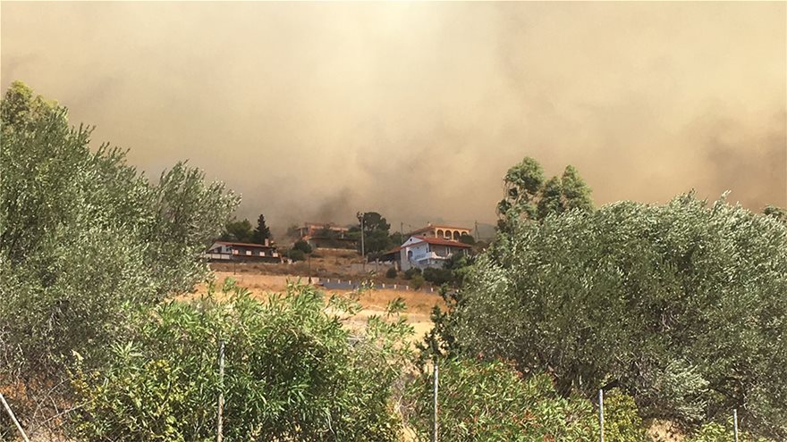 EE91C7EA 65A5 474C 92D1 EED6279F1C3C