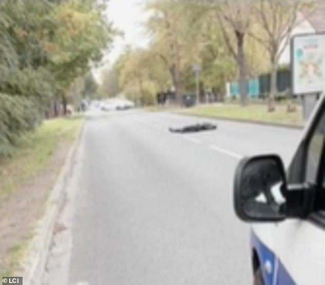 03747D05 69B7 449B B31D 24F86A9A3255