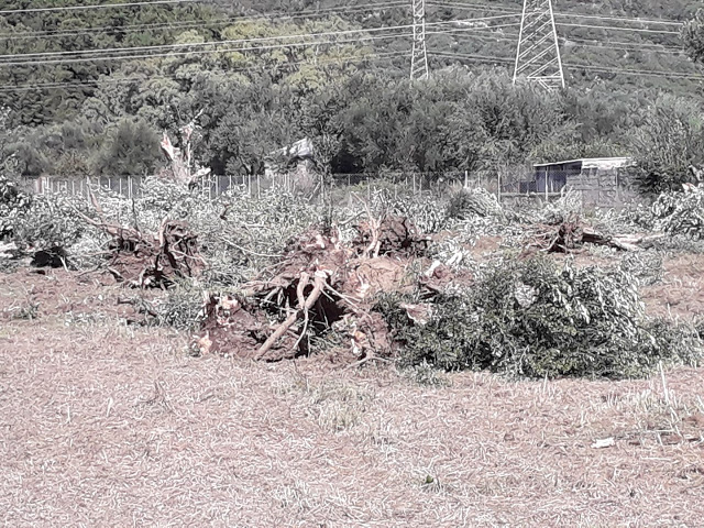 2F0546B8 C4E3 44E9 91F3 FC1CEC75E268