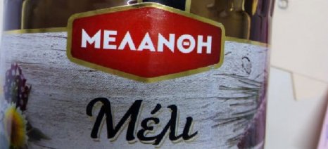 Νοθευμένο μέλι στα Lidl! Προσοχή μην το καταναλώσετε! 6 7EA6C9D2 3FED 40E1 BFD1 0DC2DE606612