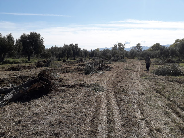 E418037A 7C1F 4EB6 AECC A28D708279CC