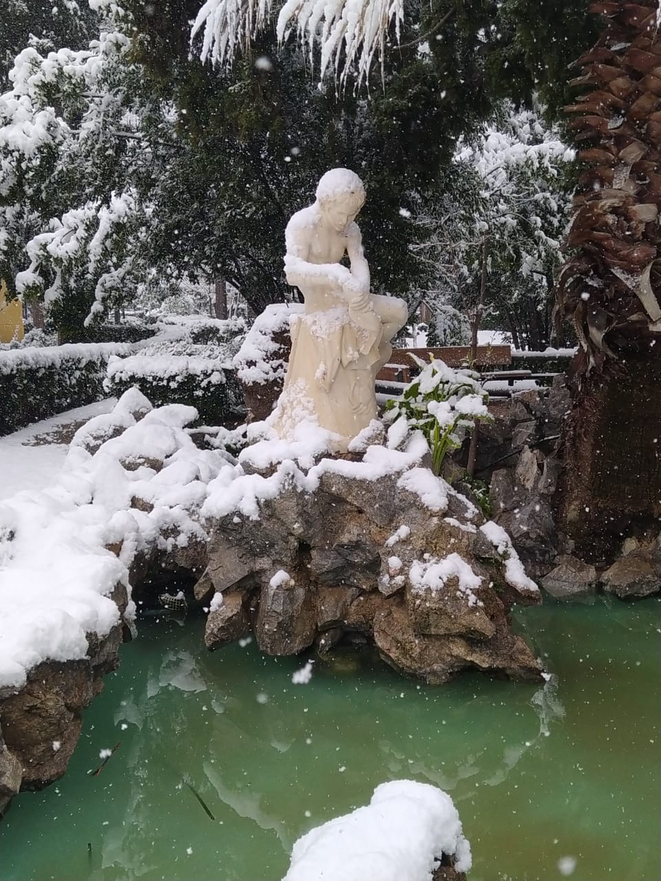 Φωτορεπορτάζ από την χιονισμένη Αθήνα!