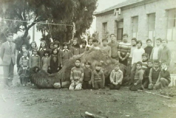 3A0551F4 3497 457F 81F9 11BA155015AA