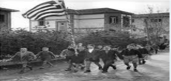 E06E039C 9B12 4287 ABCF 0B827B38B061