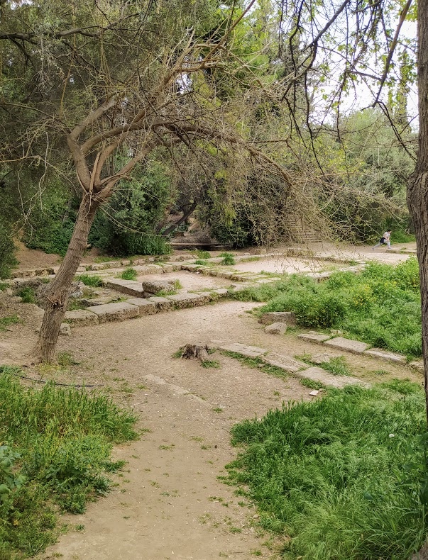 4CBBB5E6 BB7B 47DA A253 686A1D42EA95