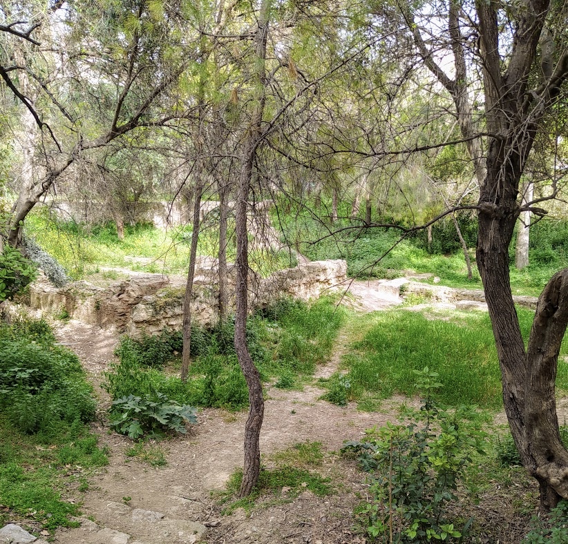 725441C9 CF89 409B B962 519929F68BC6