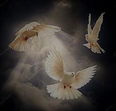 DF9D7B6B 4E5D 45E6 A08E 65D80A6E660D