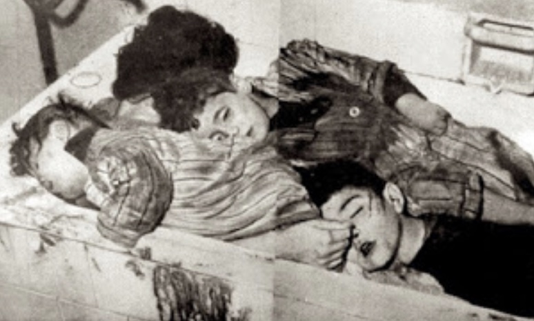 E162014E E769 413D BE0C F7CDA3E17533