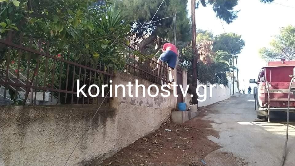 Δίπλα στα σπίτια η φωτιά στα Ίσθμια - Άντρες της Πυροσβεστικής και της ΕΛΑΣ ψάχνουν ένα ένα τα σπίτια 16 0C7C0C12 B38D 491E 986F 563FCAC1590F