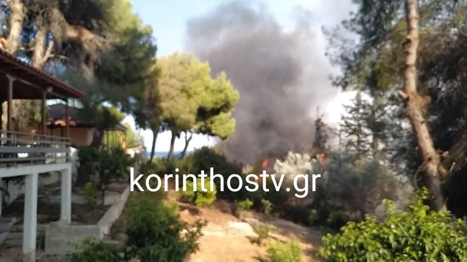 Δίπλα στα σπίτια η φωτιά στα Ίσθμια - Άντρες της Πυροσβεστικής και της ΕΛΑΣ ψάχνουν ένα ένα τα σπίτια 17 0E20F6A2 C64E 4F3F 84F5 C35C620BD2B2