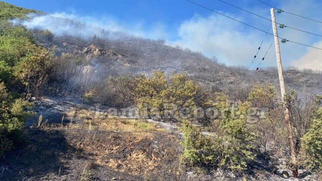 Δίπλα στα σπίτια η φωτιά στα Ίσθμια - Άντρες της Πυροσβεστικής και της ΕΛΑΣ ψάχνουν ένα ένα τα σπίτια 21 2B027DA3 1B43 4F0F 8AD6 61F718DD7B94