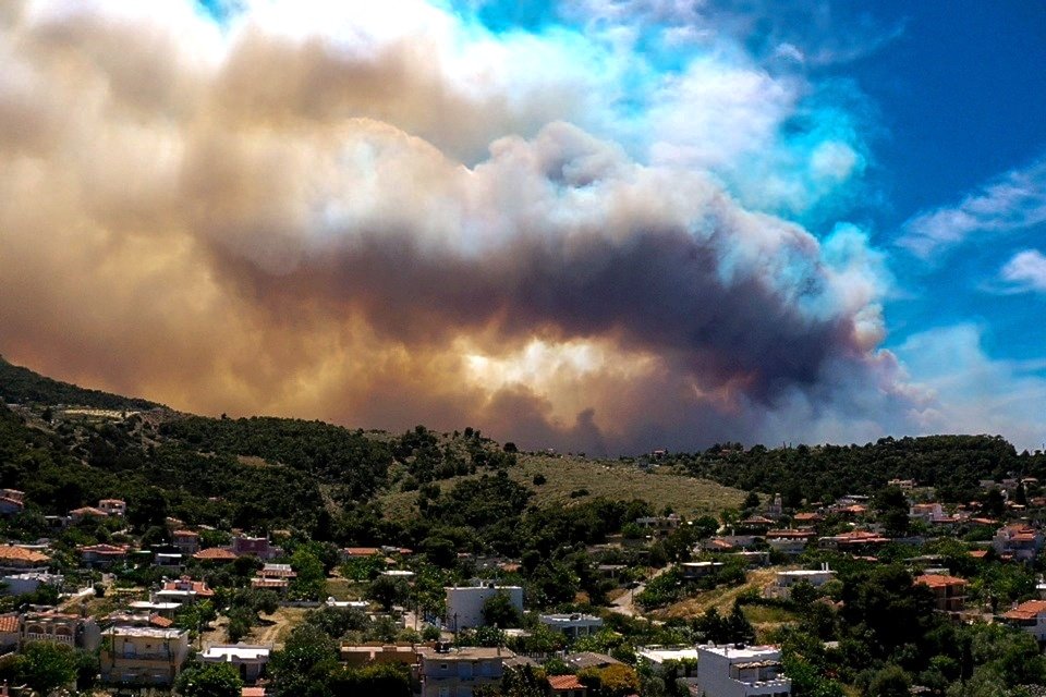 BFA3F117 2179 478F 8178 EE664C992D99