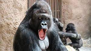 FA50B2D8 BE65 4902 9FA7 7F5A8F8E8CFE