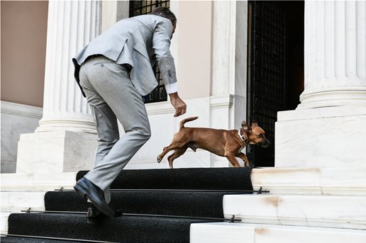 43117F6B 52FF 4310 9A73 39B1DB2A9CAE