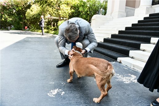 6BC1BDAE 0C47 4390 B2E4 C514ED10D565