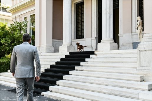 Ο Πίνατ περιμένει τον Κυριάκο στα σκαλιά του Μαξίμου καθε φορά που ο πρωθυπουργός επιστρέφει απο διακοπές 14 8AA8EC77 E2E2 4FC1 931B 966188F258E2