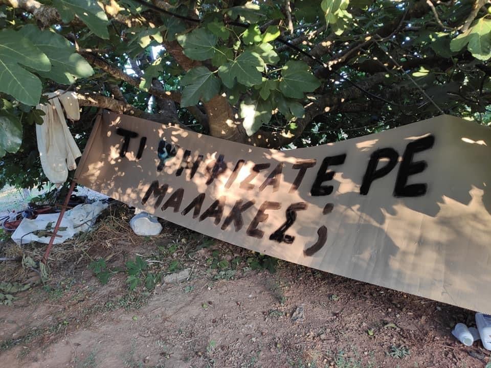 B14DED76 E26F 4A36 8447 8BA0AD6C54B9