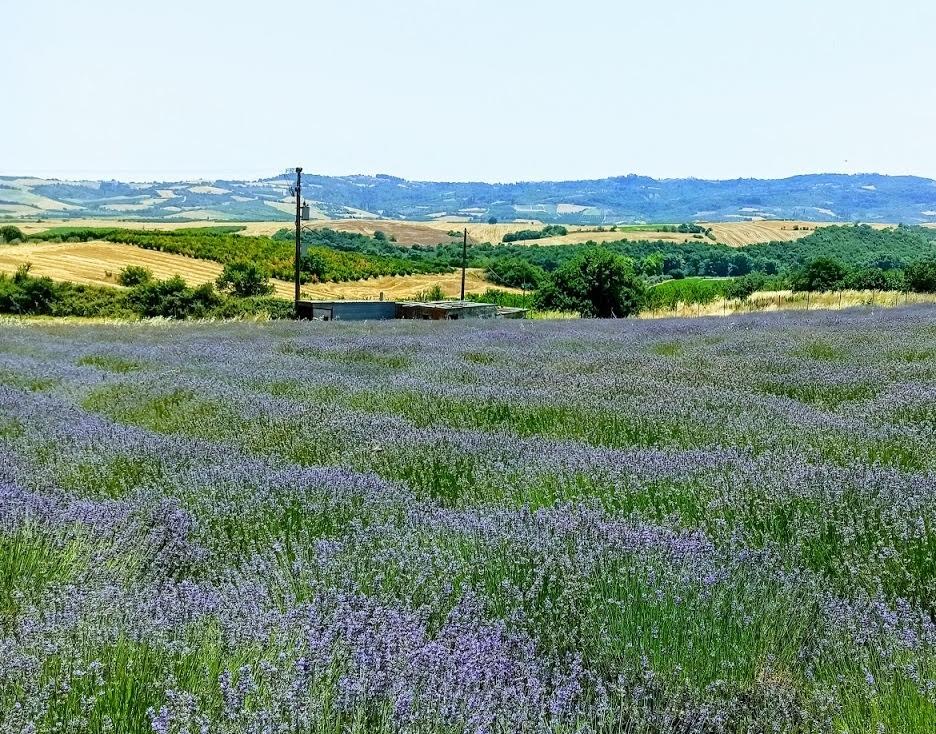 B4049F03 CD13 43CB AE00 6684A76953C4