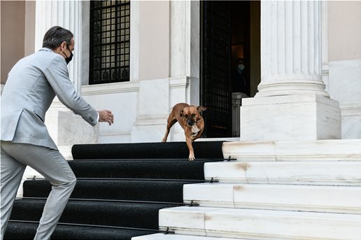 DB0643F7 2B56 4A08 BA0C 1A7CE0215B36