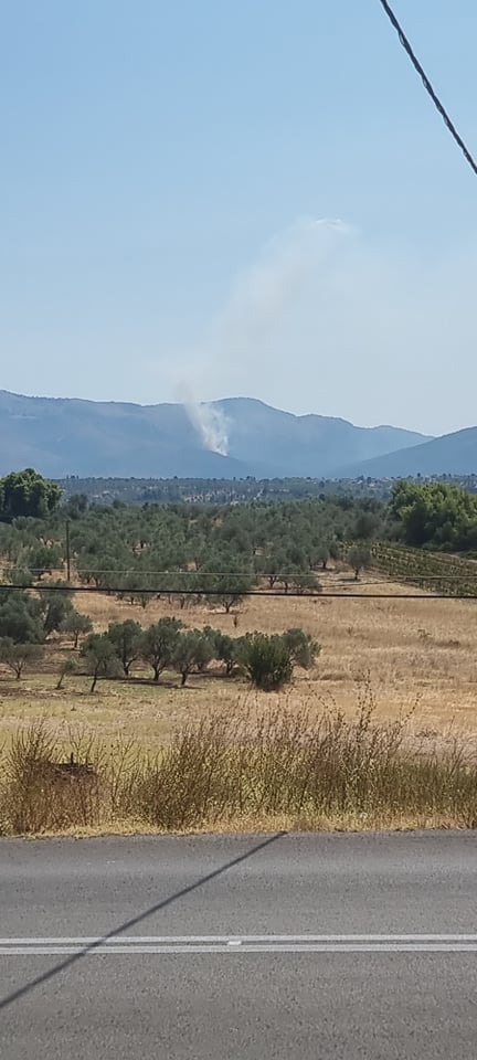 232152044 2181860371995916 5333062384088310707 n