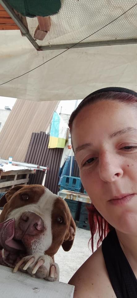 Ξεσπά η ιδιοκτήτρια του σκύλου που πυροβολήθηκε από αστυνομικό: Θα πληρώσει ο υπεύθυνος της εν ψυχρώ δολοφονίας 18 6E54FB8C DB46 4429 90B4 4FB72FFD20EF