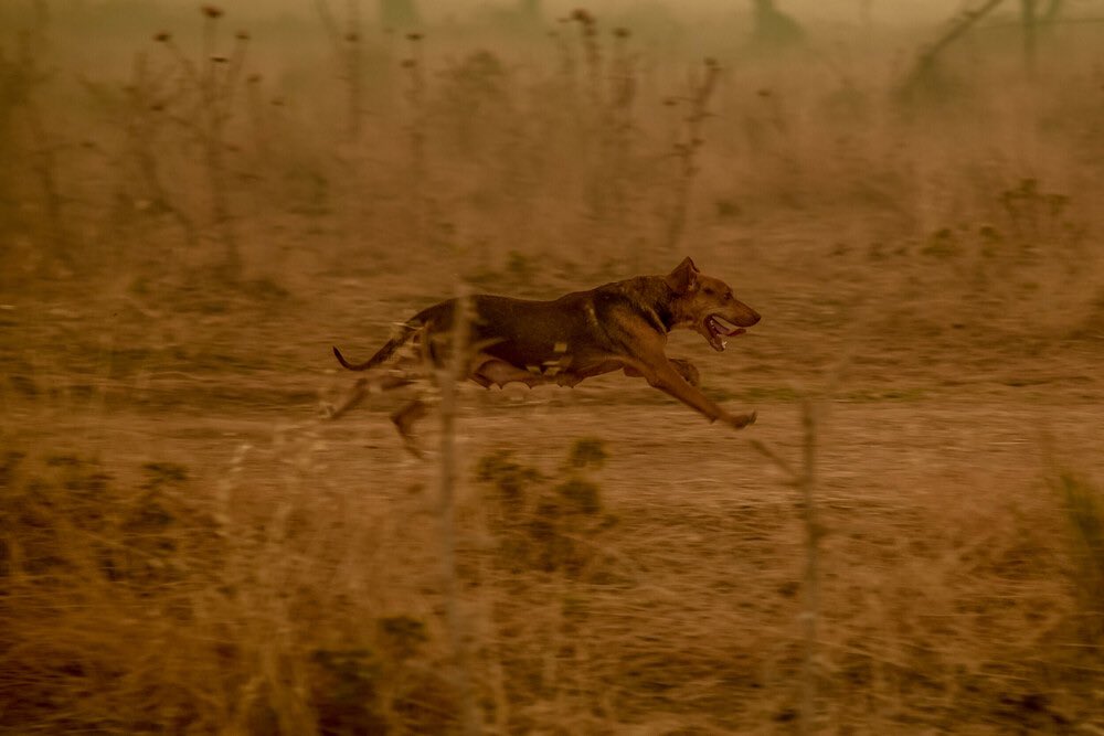 A6317459 C17A 43C4 9986 3672187D0B1C