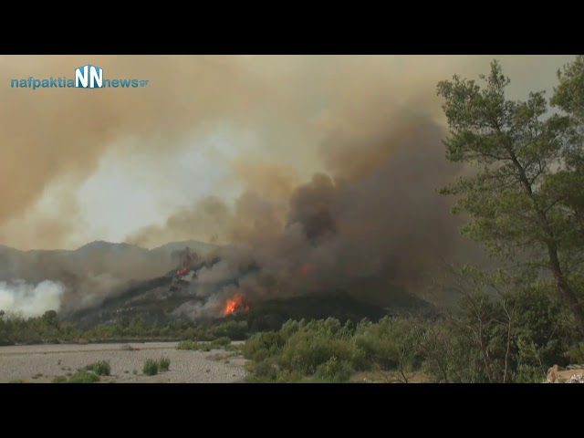 DBDE5551 E466 46B7 A1CA 0BAF598F0304