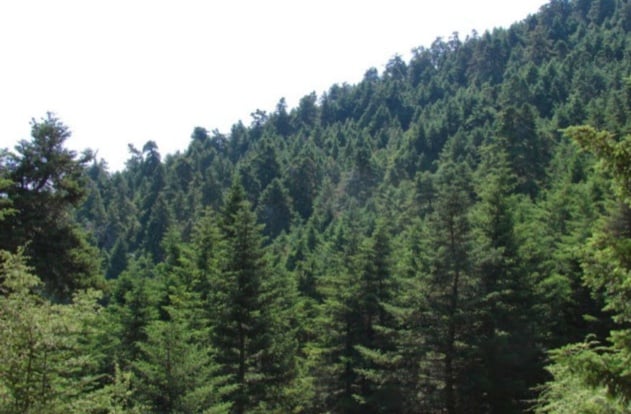 59E23094 D6F7 43C7 A572 FCC81F5B1A0A