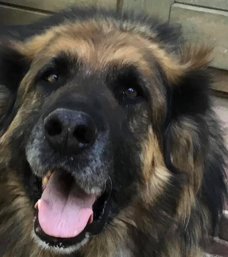 A75F98E6 BEBB 43CB ACC6 A76C3C993E90