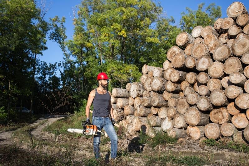 AB5B98F5 E9A1 4E65 87F1 A8BA918DEF27