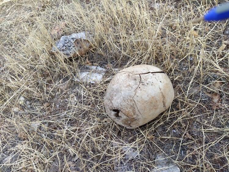 782A7A95 EB6D 4370 934F D7EFC6AB7799