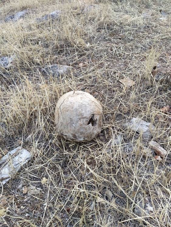 7D8F8ACC 244A 4135 BB52 6AD416212F45